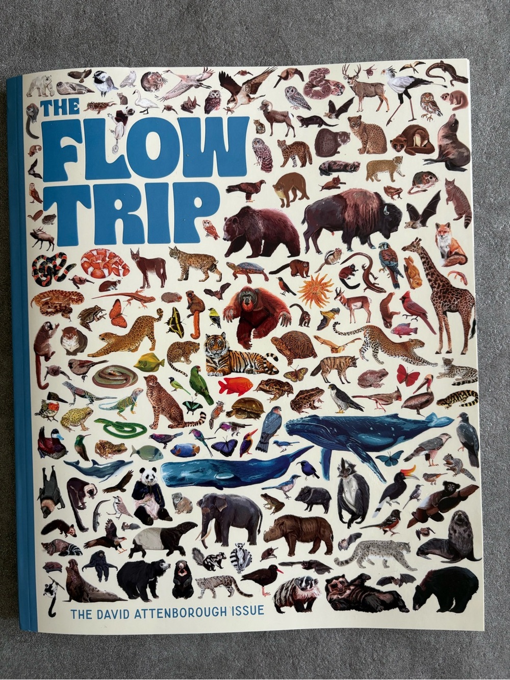 The flow trip magazine